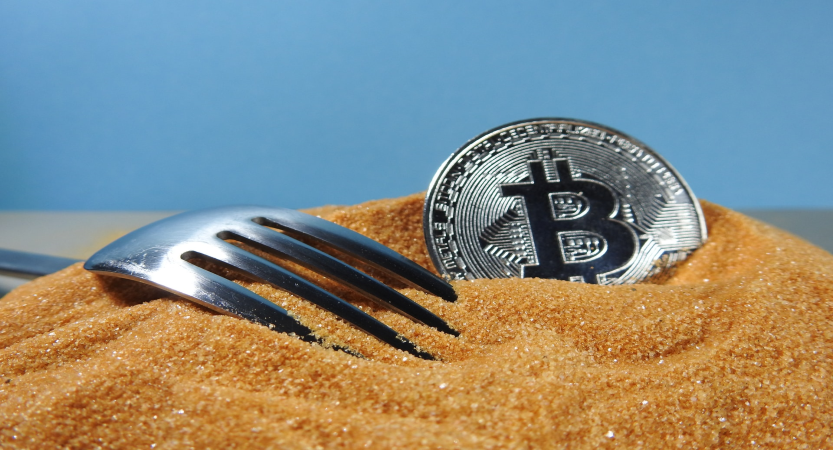 Wat is een blockchain fork?